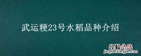 武运粳23号水稻品种介绍 绥粳22水稻品种
