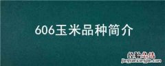 玉米品种605 606玉米品种简介