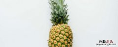 凤梨种植方法和时间 凤梨怎么种植方法家庭
