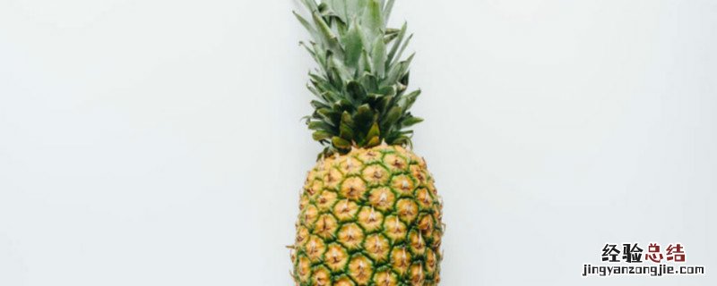凤梨种植方法和时间 凤梨怎么种植方法家庭