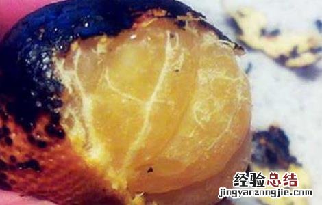 烘烤橘子的功效及做法 烤橘子的功效及做法
