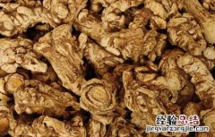 当归黄芪可以丰胸吗 当归怎么吃能丰胸