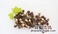 鸡枞和什么煲汤最美味 黑皮鸡枞菌要焯水吗