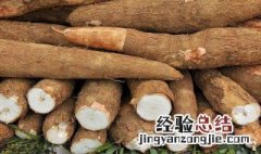 木薯相克食物图片 木薯和什么相克