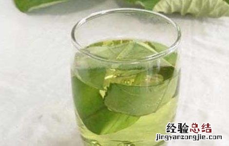 陈皮荷叶茶的功效及做法 陈皮荷叶茶的功效与作用及食用方法