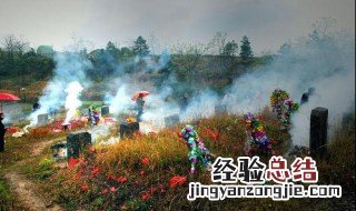 已故亲人坟头草很旺盛可以除草么 死人的坟上长什么草最好
