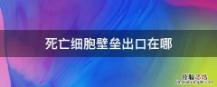 死亡细胞壁垒出口有几个 死亡细胞壁垒出口在哪