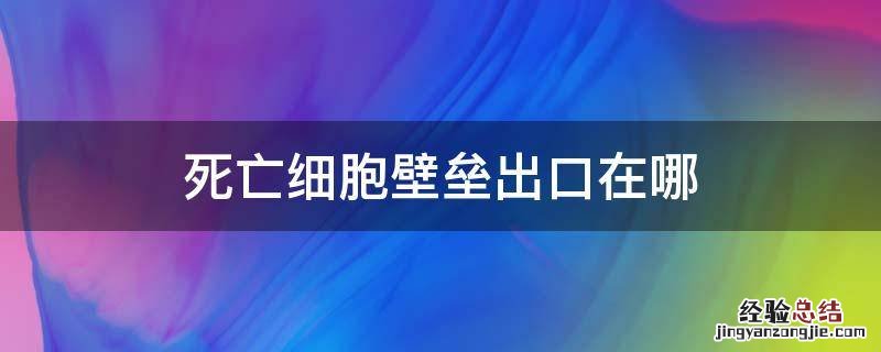 死亡细胞壁垒出口有几个 死亡细胞壁垒出口在哪