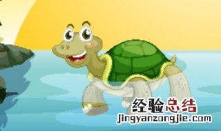 老人为什么不建议养乌龟养龟毁一生是怎么回事 老人为什么不建议养乌龟