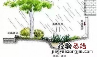 植被截流量是什么意思 植被截流什么意思