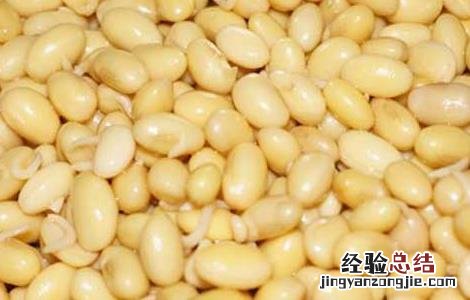 煮黄豆的家常做法 煮黄豆的家常做法大全
