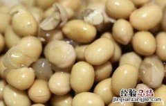 五香黄豆的家常做法 五香黄豆的家常做法视频