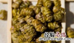 石斛与陈皮可配伍 石斛和陈皮一起煮水喝的功效