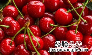 吃车厘子拉肚子是怎么回事 吃车厘子拉肚子是什么原因