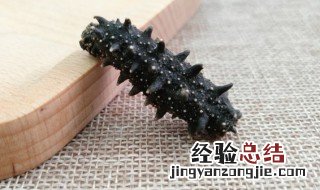 春夏天能吃海参吗 春天能吃海参吗