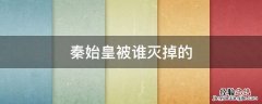 秦始皇让谁灭了 秦始皇被谁灭掉的