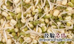 生绿豆芽不长根的窍门视频 生绿豆芽不长根的窍门