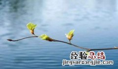 关于春暖花开的散文 关于春暖花开的散文推荐