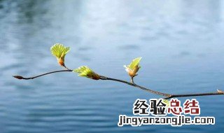 关于春暖花开的散文 关于春暖花开的散文推荐