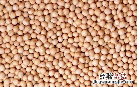 黄豆怎样吃减肥 黄豆减肥法怎么吃