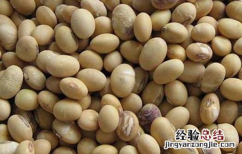 黄豆怎样吃减肥 黄豆减肥法怎么吃