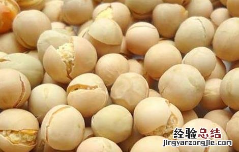 炒黄豆 功效 炒黄豆的功效和做法