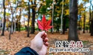 赞美8月的句子和词语 形容八月的句子