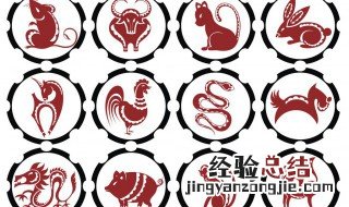 铁树开出太阳花是什么生肖 铁树开出太阳花猜生肖