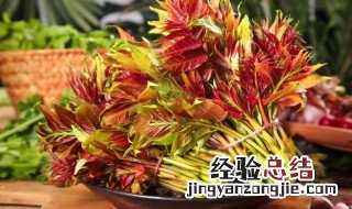 腌过的香椿怎么做好吃 怎么做腌过的香椿吃