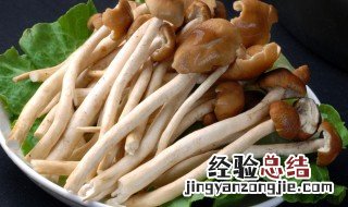 茶树菇的功效与作用及食用方法 新鲜茶树菇的功效与作用及食用方法