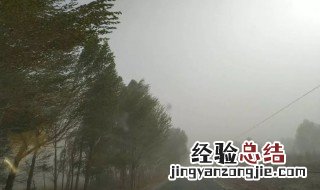 梦见刮风下雨什么预兆 梦见刮风下雨什么预兆还有河水