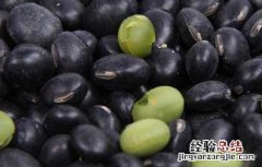 醋泡黑豆怎么吃最好 醋泡黑豆怎么吃效果最好