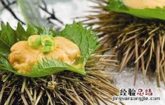 海胆刺身的家常做法 海胆刺身的吃法