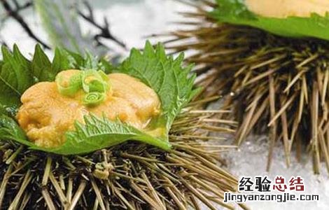 海胆刺身的家常做法 海胆刺身的吃法