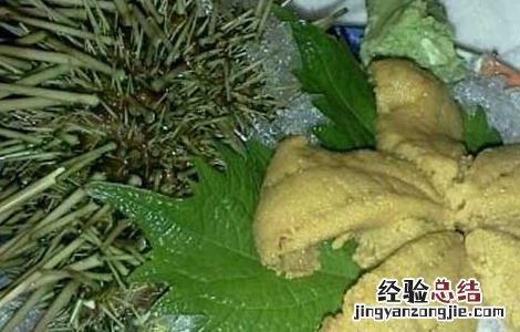 海胆刺身的家常做法 海胆刺身的吃法