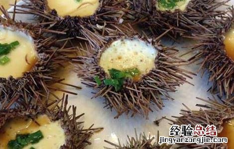 海胆怎么蒸蛋怎么做 海胆蒸蛋的家常做法