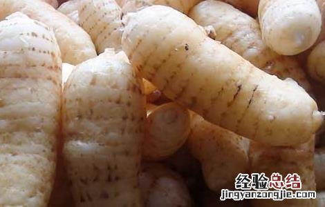 天麻钩藤饮的组成和功效 天麻钩藤饮的组成和功效与作用