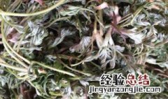 茵陈茶的功效与作用图片 茵陈茶的功效与作用