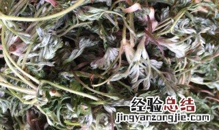 茵陈茶的功效与作用图片 茵陈茶的功效与作用