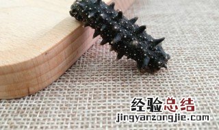 海参刺尖好还是圆好有假海参 海参刺尖好还是圆好