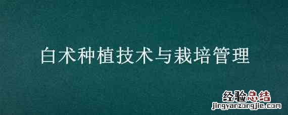 白术种植技术与栽培管理 白术种植技术和田间管理