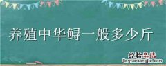 养殖中华鲟一般多少斤 养殖中华鲟多少一公斤