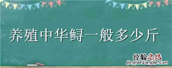 养殖中华鲟一般多少斤 养殖中华鲟多少一公斤