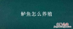 鲈鱼怎么养殖 鲈鱼怎么养殖视频