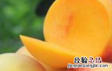 锦绣黄桃与黄金桃的区别 黄金蜜桃和锦绣黄桃的区别