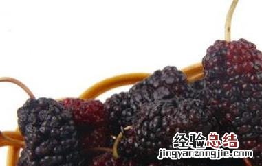 桑葚片的作用与功效 桑椹片功效与作用