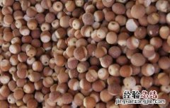 芡实粥的家常做法大全 芡实粥最简单做法