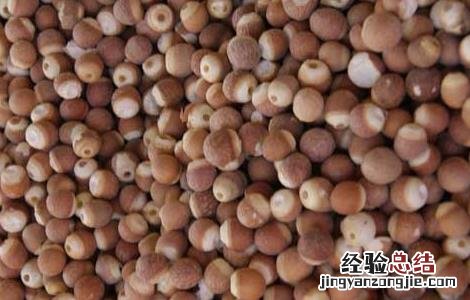 芡实粥的家常做法大全 芡实粥最简单做法