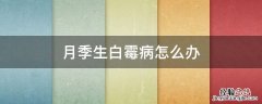 月季叶子白霉 月季生白霉病怎么办