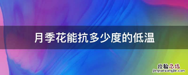 月季花能抗多少度的低温 月季花能耐多少度低温